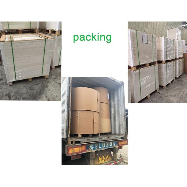 Greeting Card Making Ivory Board Paper Cardbard Antistatic Strong Water Resistance