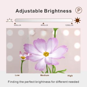 Quality Hollywood Vanity Makeup Mirror with 12 Dimmable LED Lights for sale