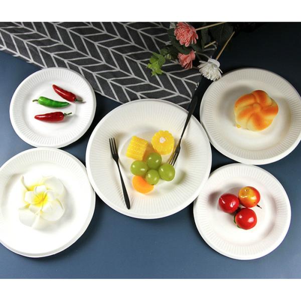 Paper Plates Material 100G 120G Pure White Kraft Paper Roll Food Grade Certified