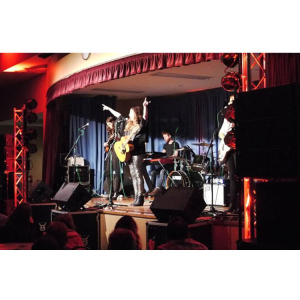 Double 10 Inch Passive Line Array Speaker Cabinet Design Birch Plywood