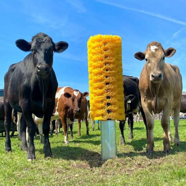 Cow Brush Cattle Breeding Livestock Scratching Brush For Cows