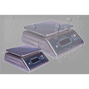 Quality IP68 Waterproof Weighing Scales , Stainless Steel Platform Weighing Scale for sale