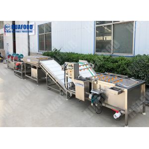 Fruits And Salad Leaf Bubble Washer Machine