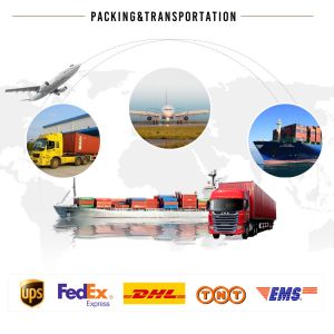 Electric Current 19A 1200kg Daily LZ-1.2 Geneglace Seawater Flake Ice Machine