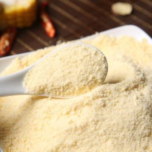 Delicious Chicken Seasoning Powder Chicken Flavored Powder