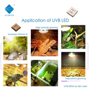 Medical Treatment UVB LED Chips 300NM 305NM 308NM 310NM 315NM 1watt