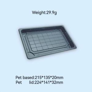 Custom Disposable Sushi PET Plastic Rectangular Salmon Sushi Takeaway Container