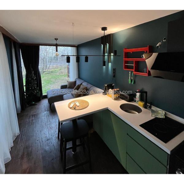 Customized Color 40ft LOFT Family Style Mobile House with Prefabricated Steel Structure and Wooden Exterior Wall