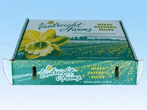 Apple Box/Boxes/Fruit Carton Boxes For Sale