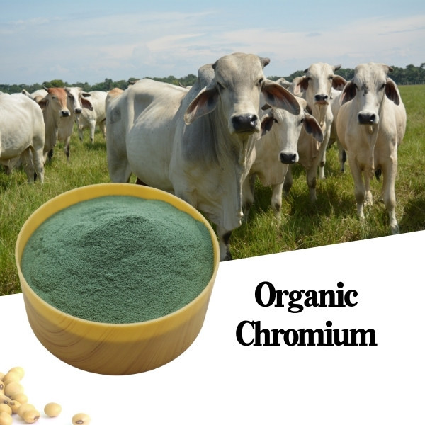 25% Amino Acid Protein Chelate Chromium Animal Feed Additive For Improving