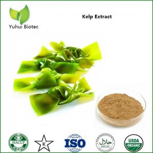 Quality fucoxanthin supplement,fucoxanthin powder 10%,kelp p.e.,kelp seaweed powder for sale