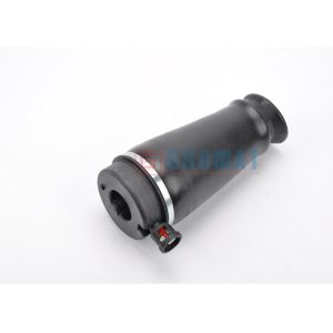 Lincoln Navigator Rear Air Spring Bag