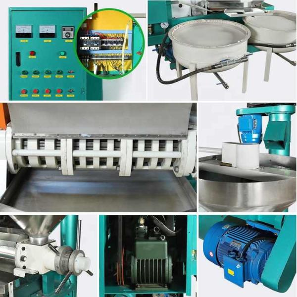 High Quality Sunflower Oil Making Machine Peanut Oil Production Line Sesame Oil Press Machine