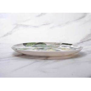 SGS Certificated BPA Free Coloured Melamine Plates