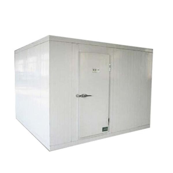 Buy Polyurethane Walk In Cold Room for Meat Fruit and Vegetable For Meat Storage at wholesale prices