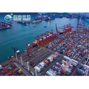 Internationl Sea Shipping Company , Best Rate LCL Sea Freight China