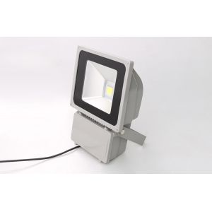 Quality LED FLOOD LIGHT LF075003 80W IP65 FOR DISPLAY LIGHTING for sale