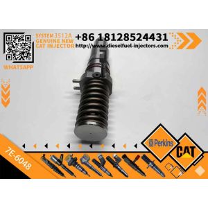 Common Rail Diesel Injector 7E-6048 Excavator Parts Fuel Injectors 7E6048 for
