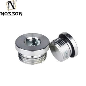 10mm ALLOY Stainless Steel Hexagon Socket Pipe Plug Screw Din908 with ZINC