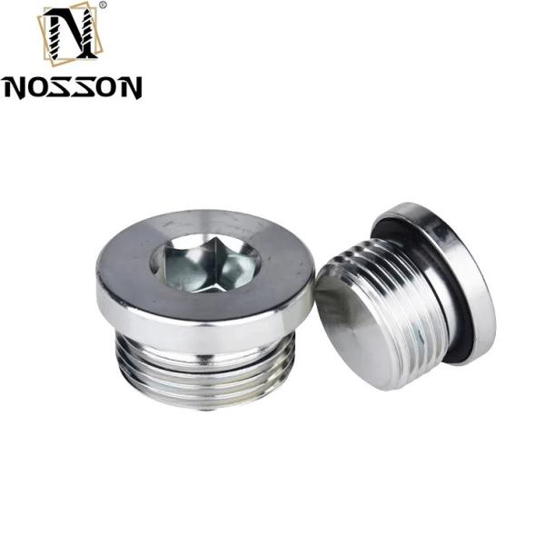 10mm ALLOY Stainless Steel Hexagon Socket Pipe Plug Screw Din908 with ZINC