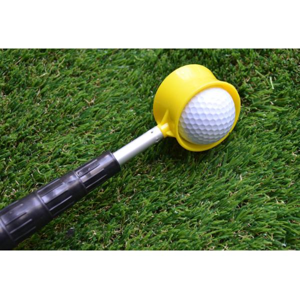 golf ball retriever , Golf ball picking , golf ball pick up