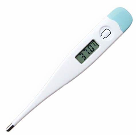 Buy Waterproof Rigid Tip Digital Clinical Thermometer For Hospital / School at wholesale prices