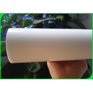 100 - 350gsm Coated C1s Art Paper For Books 25 * 36inch