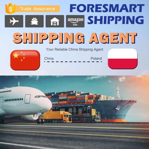 Buy International Freight Forwarder DDP Delivery Service China To Poland at wholesale prices