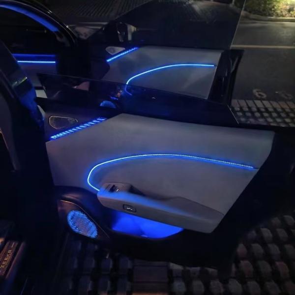 Buy 22 Lights Phantom Colored  for ZEEKR 007 Ambient Light ,Screen/We Chat applet/App control at wholesale prices