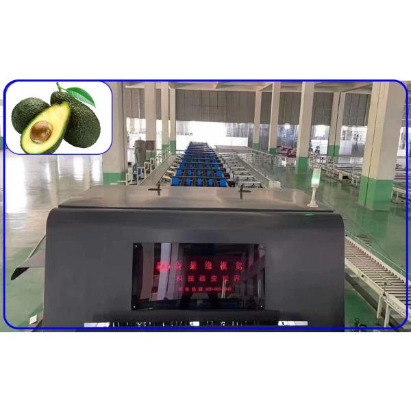 Buy Industrial Avocado Fruit Grading Machine Intelligent 3 Channel 380V at wholesale prices