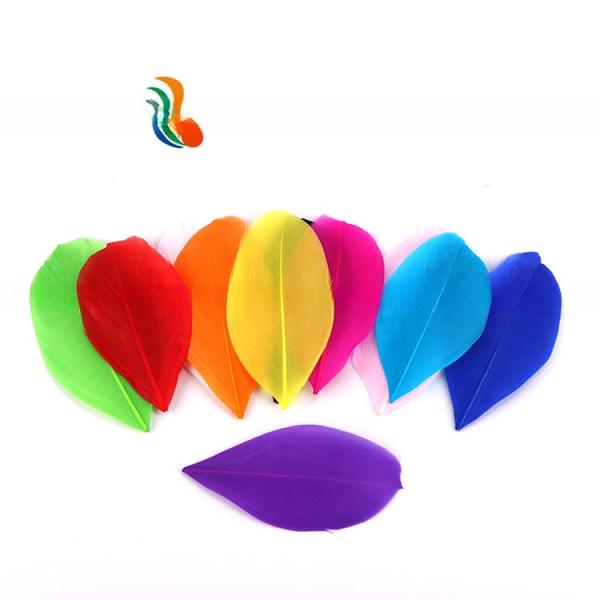 4-6cm Stripped Carnival Costume Feathers , Goose Nagoire Feather Eye Catching Designs