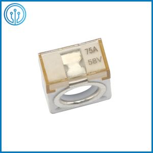 Littelfuse 58VDC Marine Rated Battery Fuses 50A - 300A