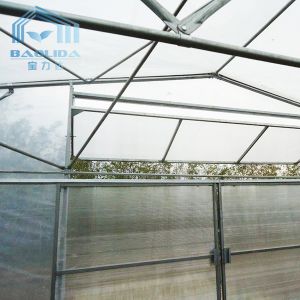 Plants Growing System Greenhouse Steel Pipe Structure Hoop Tunnel Plastic