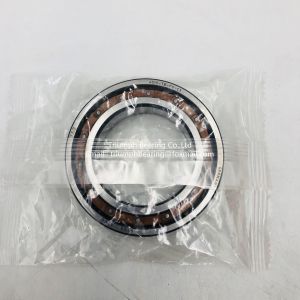High precision FAG 6304 6304-TB-P6-C3 Deep Groove Ball Bearings