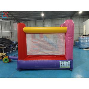 Commercial Inflatable Bug Bouncy House With Slide Inflatable Inflatable Castle