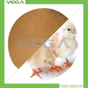 Bacitracin Zinc Animal Feed China Manufacturer