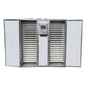 Fruit Dryer Food Dehydrator With Digital Timer And Temperature Control For