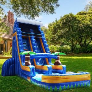 Max Capacity 100-500kg Inflatable Water Slide Jump and Slide with Packing Bag