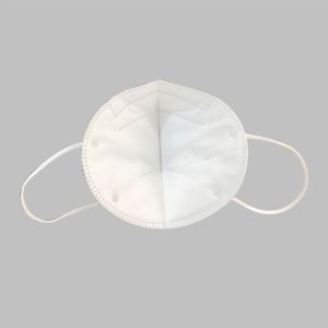 PM2.5 KN95 Dust Mask