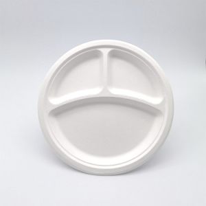 Divided Paper Biodegradable Disposable Plates 2-Compartment 3-Compartment