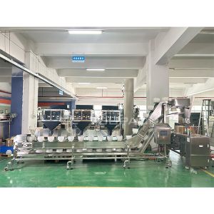 Mixed Nuts And Dried Fruits Linear Weigher Packing Machine With Conveyor Pre