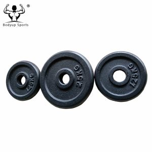 Cast Iron Black Painting Standard Weight Plate / Weight Disc