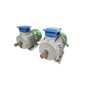 Brushless Three Phase Permanent Magnet Generator Low Speed Horizontal / Vertical