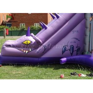 Purple / Grey Inflatable Jumping Castle With Dragon Slide Roofed Playground