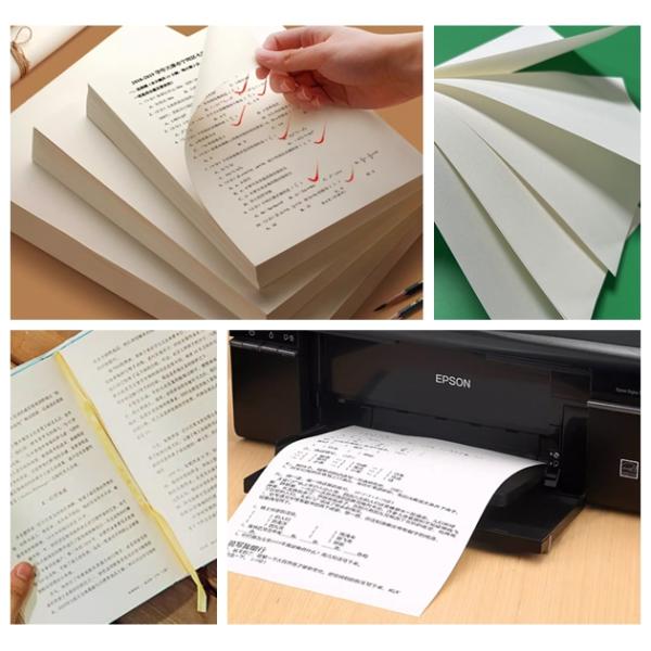 75g 85g Good Printable Book Paper For Printing and Public Industrial 787 x 515mm 