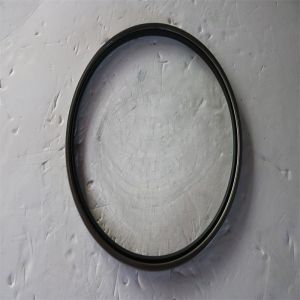 Garlock Model 59 Oil Seal 24700-4396 mechanical seal oil seal