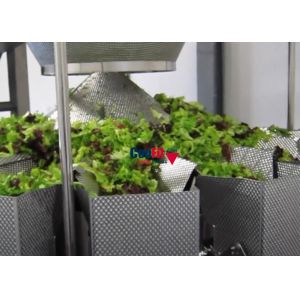 Multihead Weigher Packing Machine for Lettuce Vegetable Packaging System