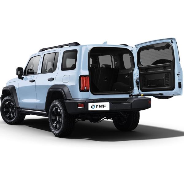 2024 tank used car 0 Km 2.0t Petrol Gasoline for Great Wall Tank 300 300 Car SUV Used