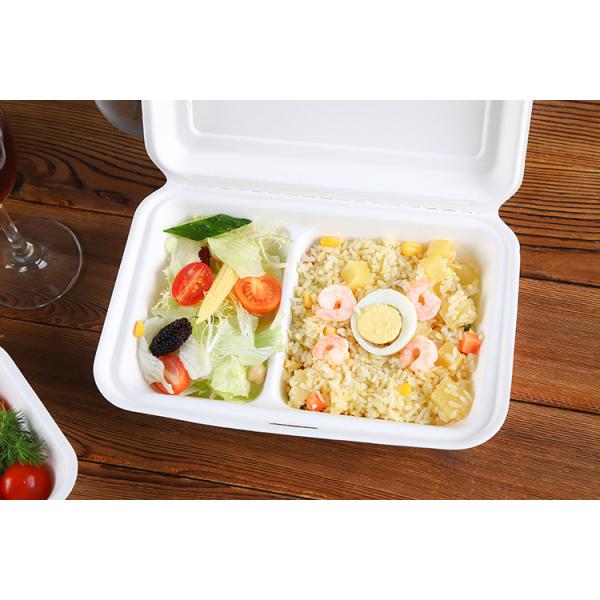2020 Renewable Natrual fiber sugar cane burger snack dinner 2 containers food packaging clam shell