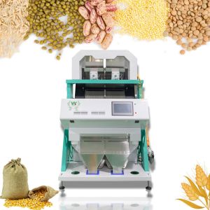 Wenyao Intelligent High Precision Pecan Color Sorter Machine Multi-Function